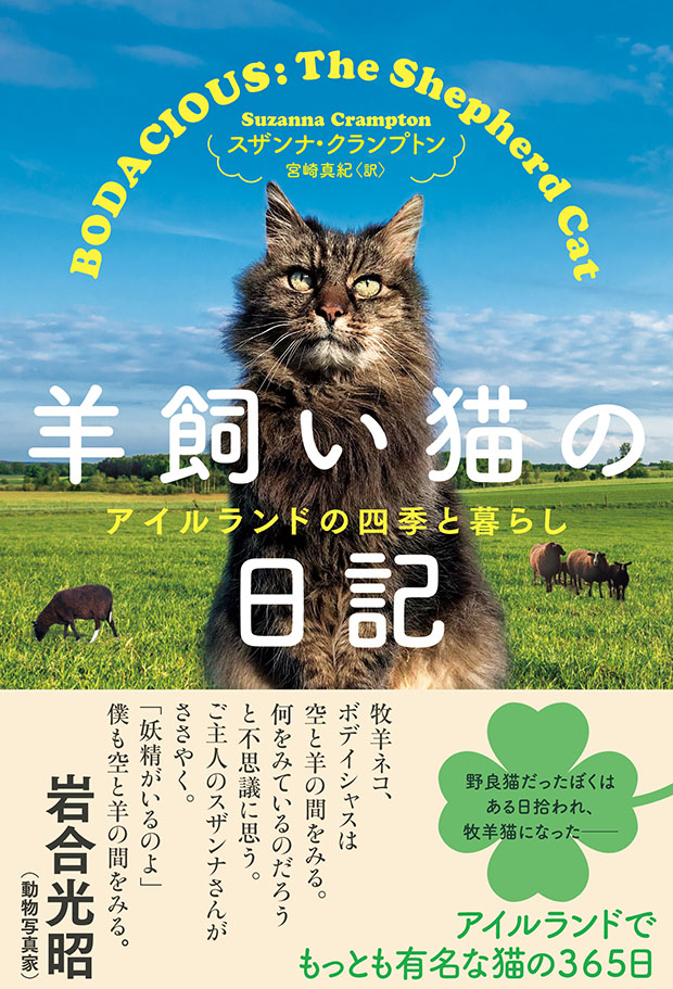 羊飼い猫の日記　アイルランドの四季と暮らし